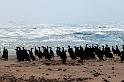 20090605_135407 D300 X1